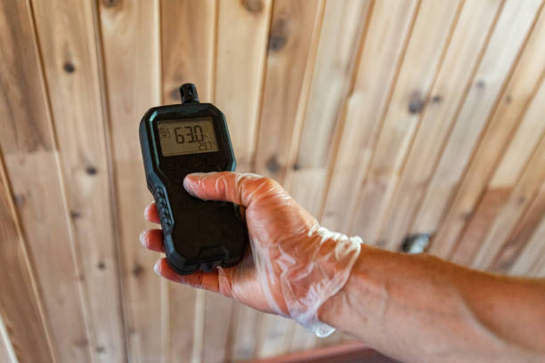 Using a radon detector to measure radiation levels in a residential area